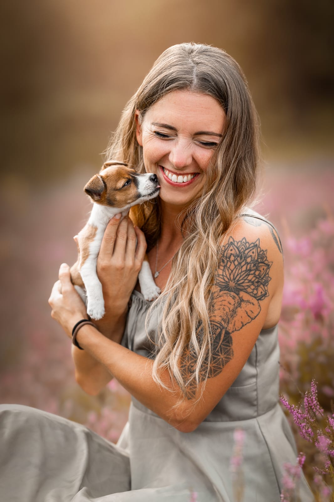 Hündin Toxi Jack Russle Terrier - Pawsome Detection aus Preußisch Oldendorf - Ratten - Mader und Mäuse aufspüren mittels Bioindikator ohne Chemie